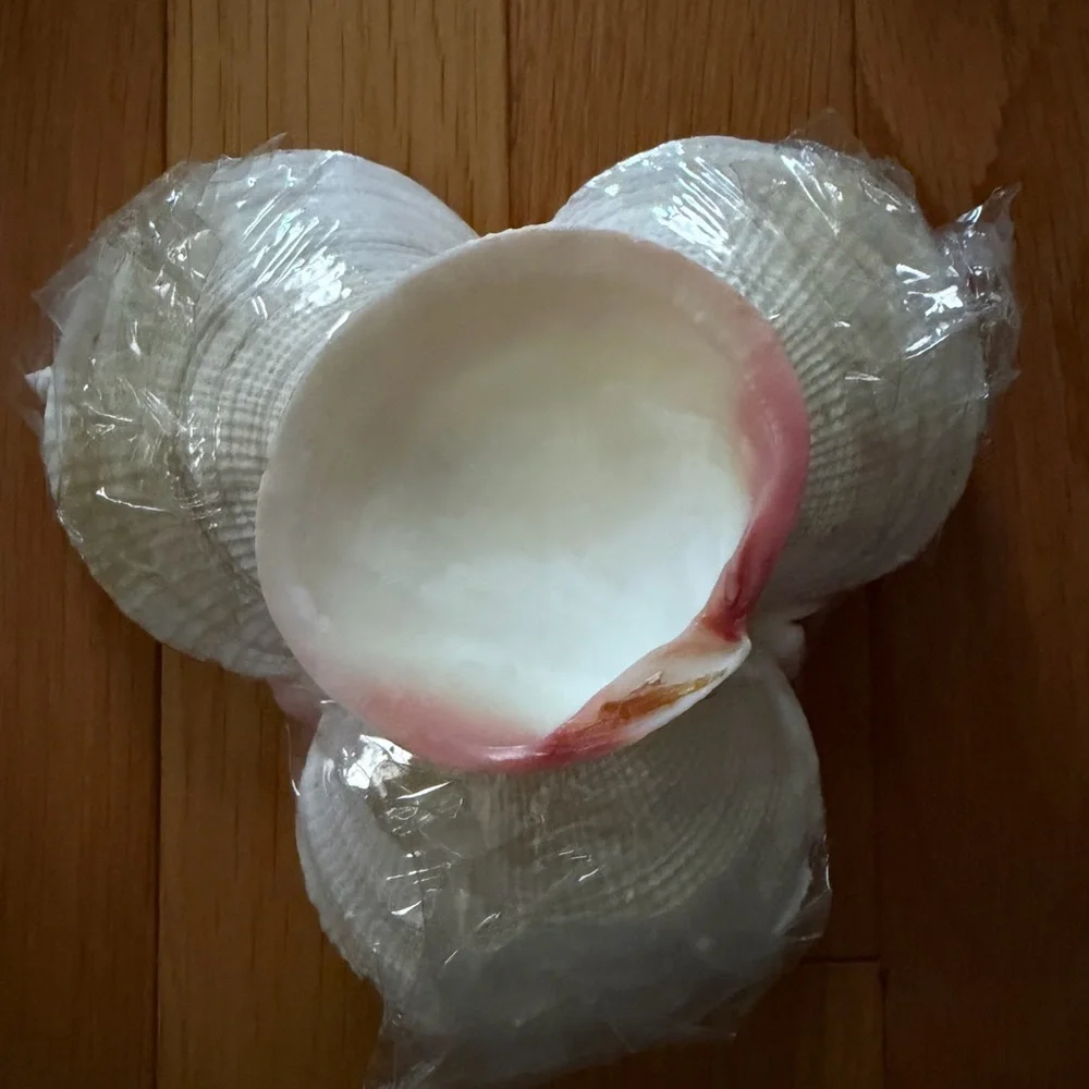 Wrapped Seashells and Toothpicks Holder. NWOT